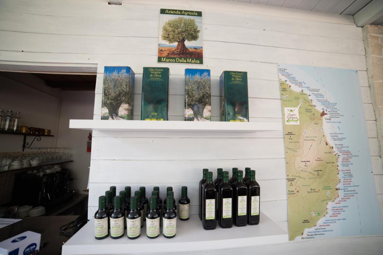 Гостевой дом I Sapori Del Gargano Вьесте Экстерьер фото